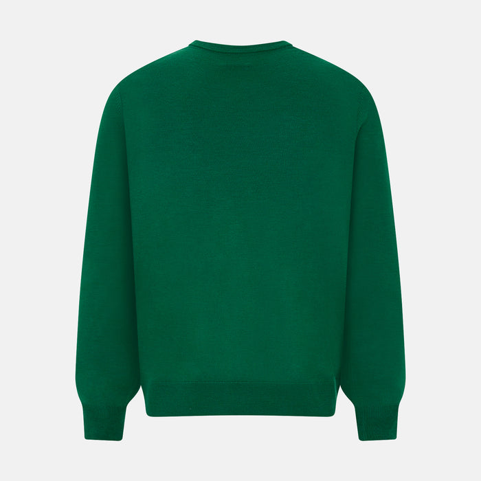 Hunter Green Fine Merino V-Neck Jumper Image 2
