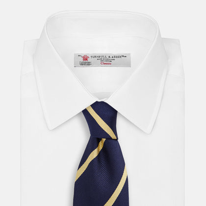 BLAZER STRIPE NAVY LEO TIE Image 1