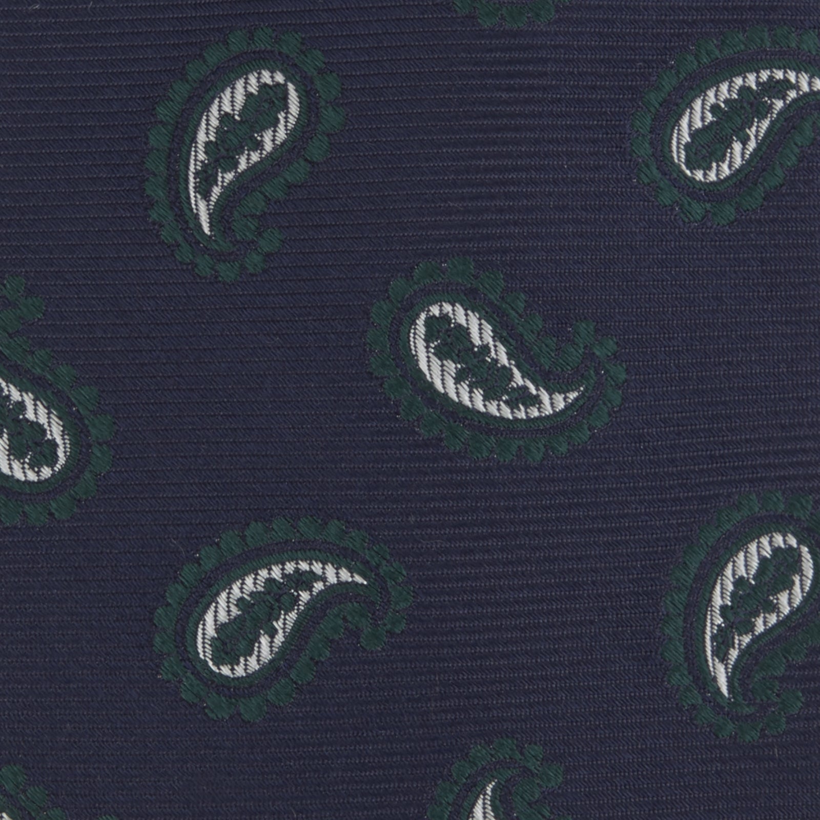 Navy and Forest Green Floating Paisley Silk Tie