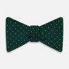 View 1 of product Turquoise and Forest Green Mirco Dot Silk Bow Tie