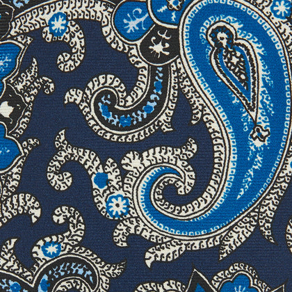 Blue and Navy Twisted Paisley Silk Tie Image 2
