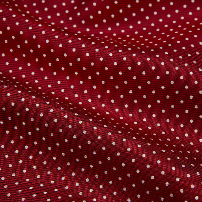 Burgundy Spot Silk Gown Image 4