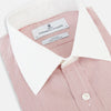 View 2 of product Contrast Collar Checked Red on White Regular Fit Shirt in Cotton