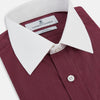 View 2 of product Wine Pinstripe Shirt With Contrast Collar & Cuffs 19
