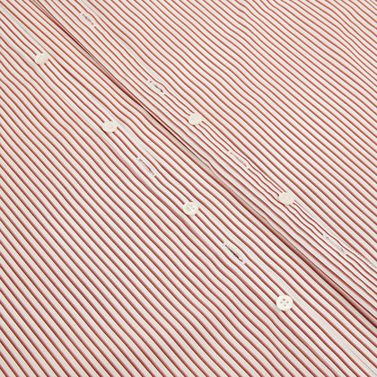 Red Shadow Stripe Westminster Shirt Image 6