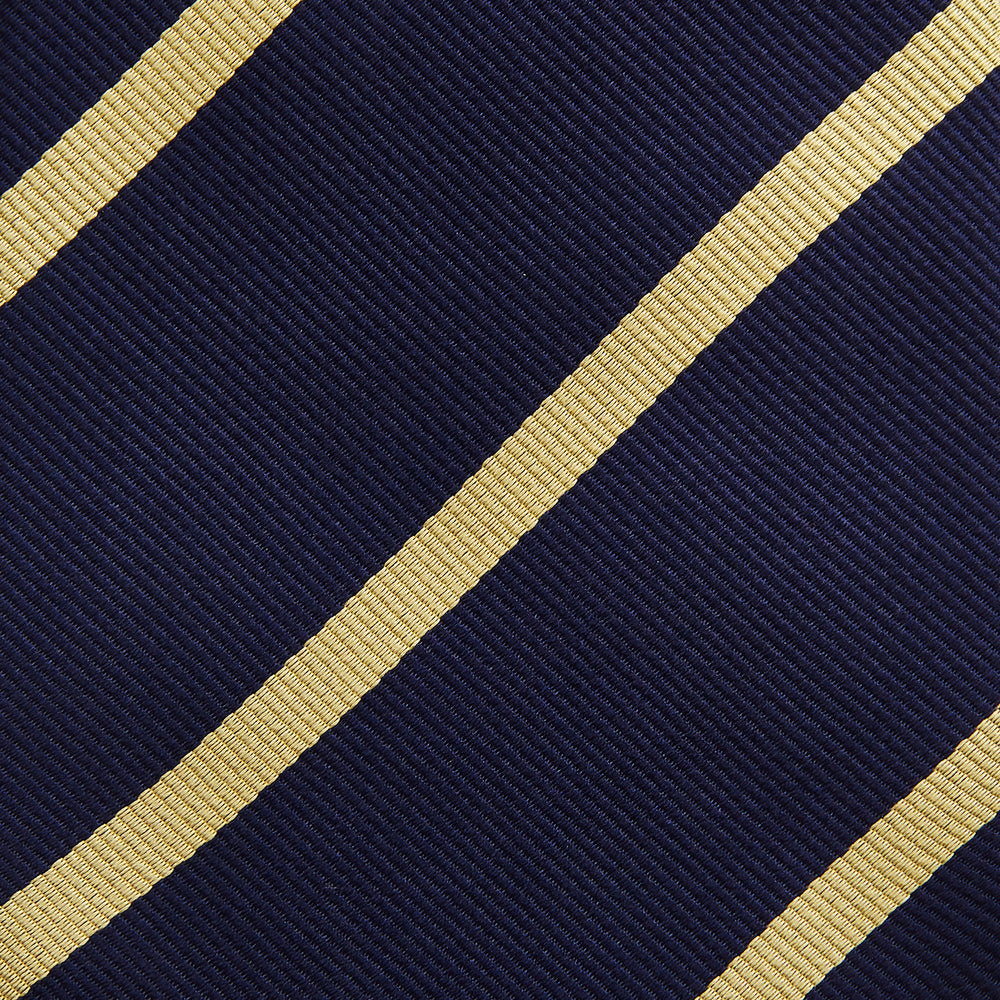 BLAZER STRIPE NAVY LEO TIE