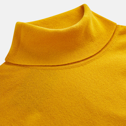 Gold Aubrey Cashmere Roll Neck Jumper Image 2