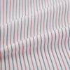 View 8 of product Red and Blue Double Stripe Westminster Shirt
