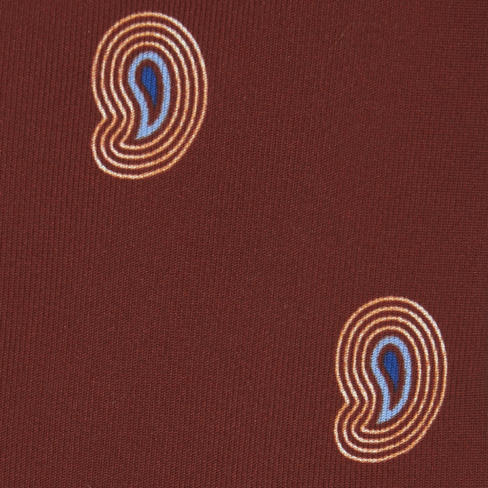 Red Pulse Paisley Silk Tie
