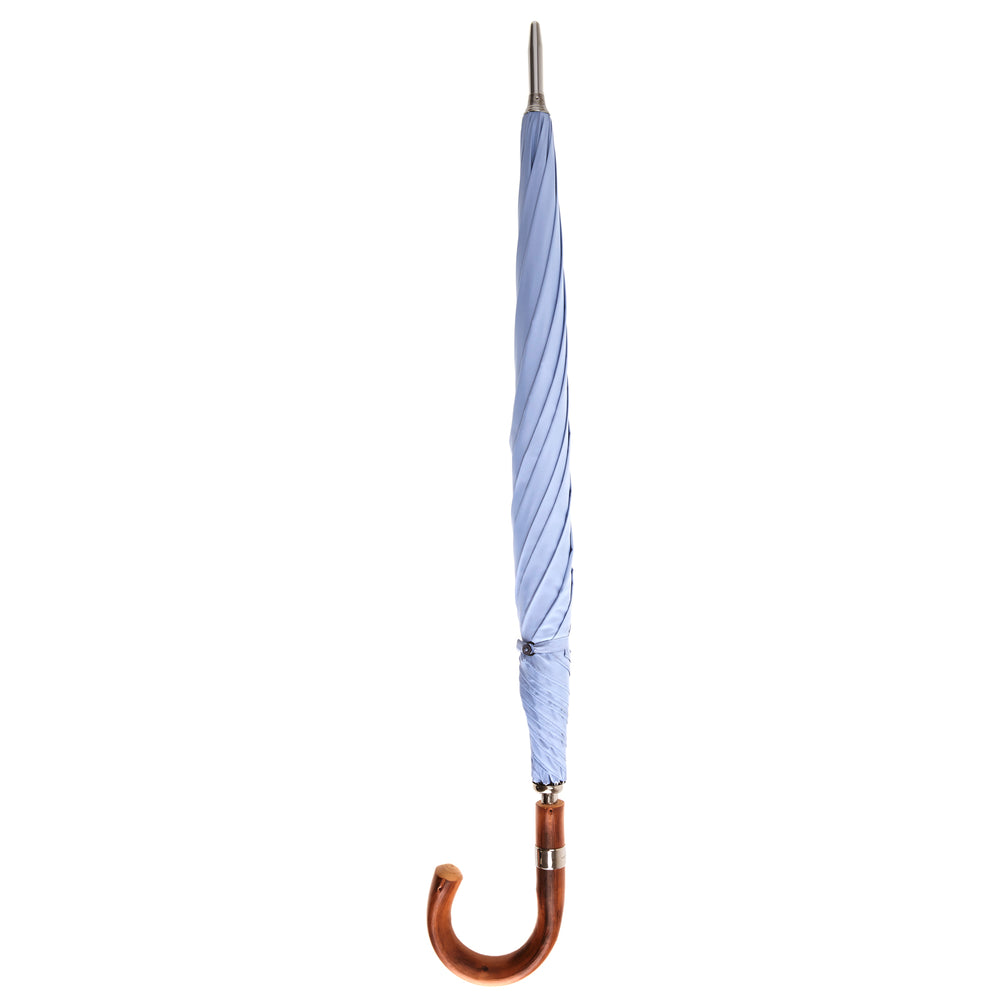Light Blue Umbrella with Chestnut Crook