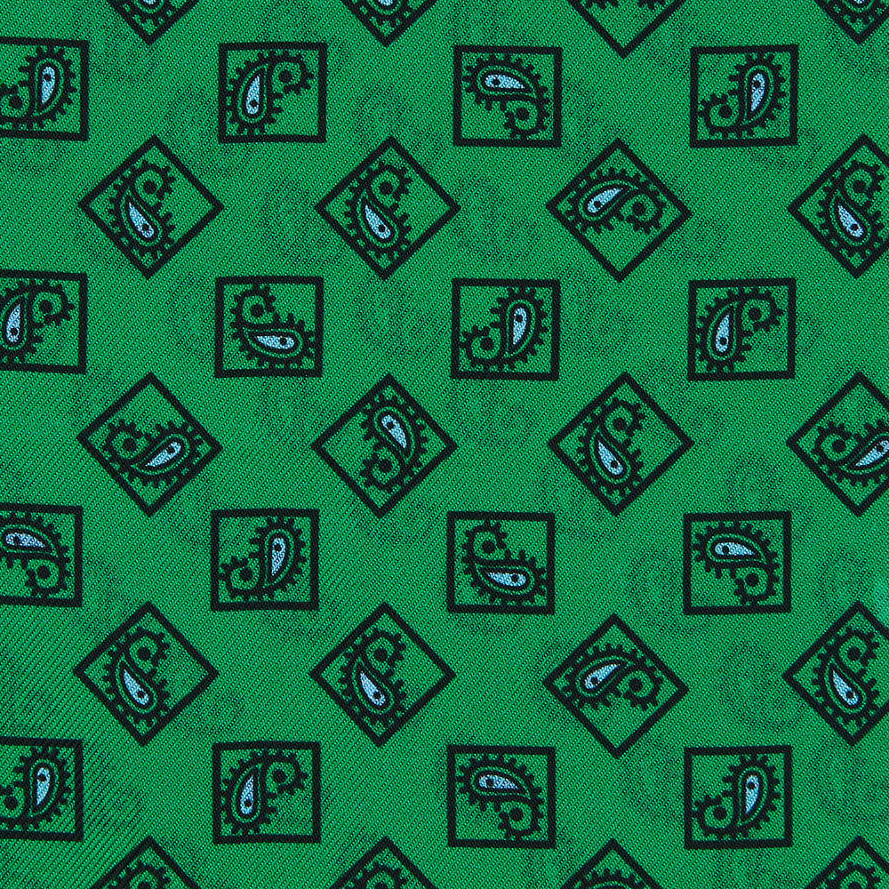Green & Blue Double-Faced Paisley Silk Bandana Pocket Square