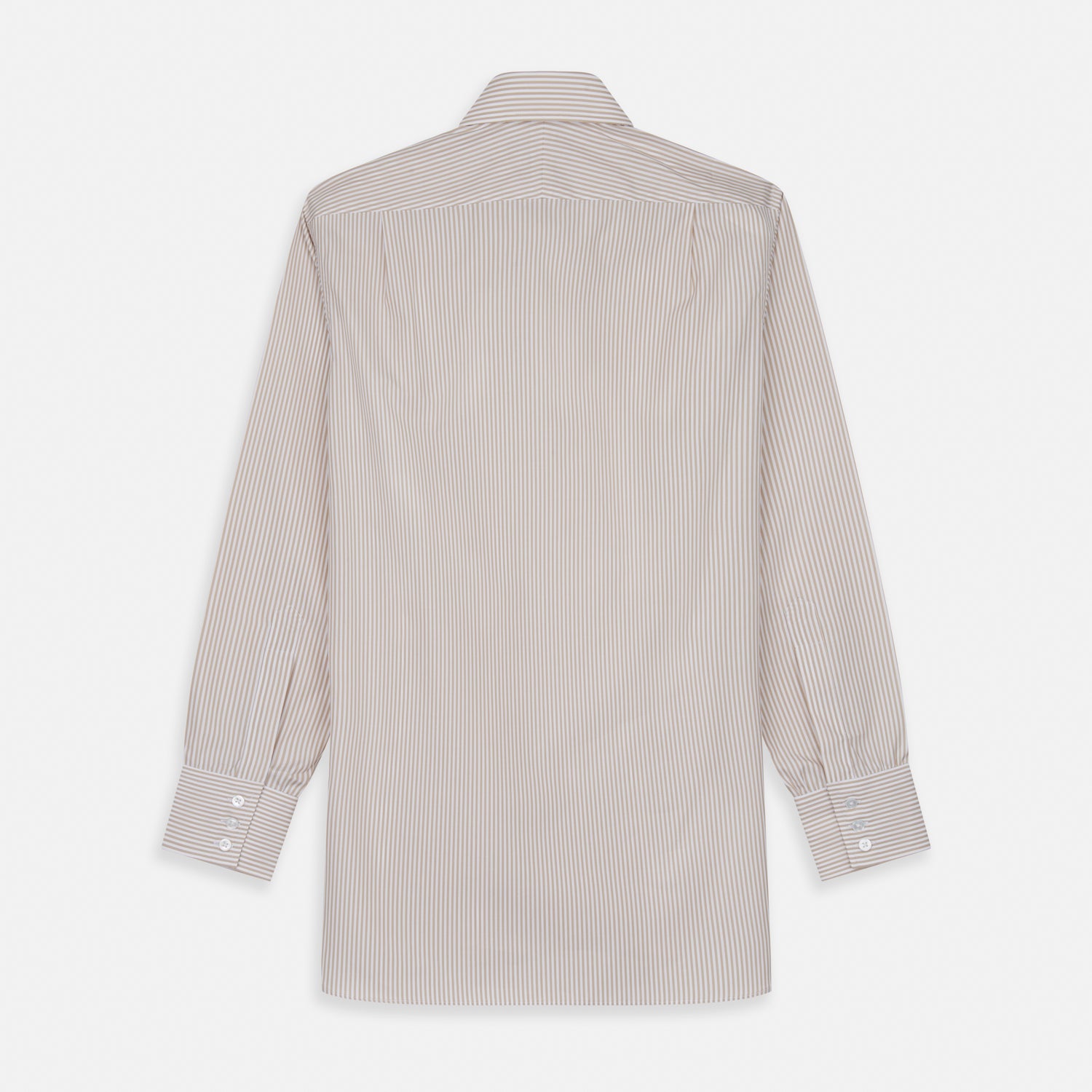 View 5 of product Sand Bengal Stripe Regular Fit Shirt with T&A Collar and 3-Button Cuffs