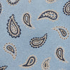 View 3 of product Sky Blue Renoir Paisley Tie