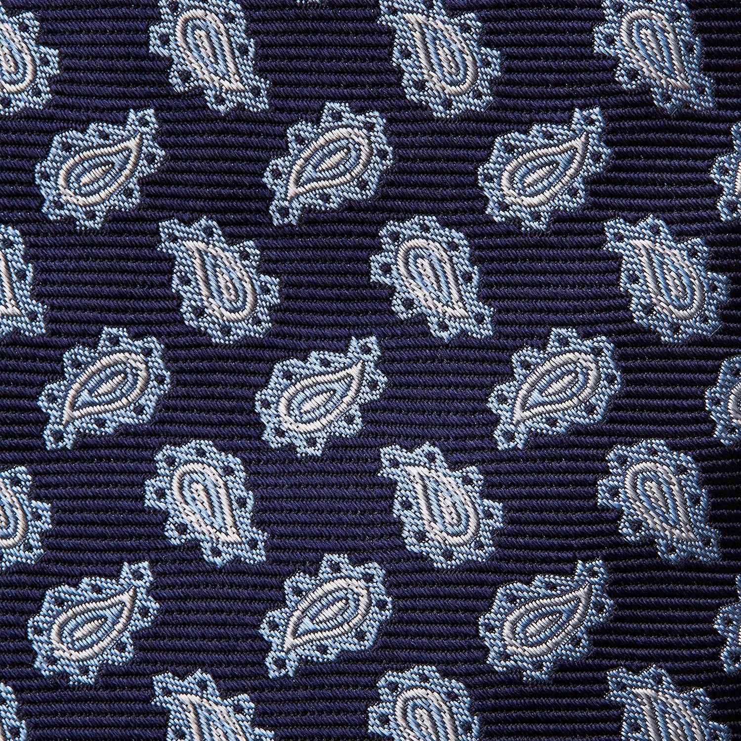 Blue Abstract Paisley Silk Tie