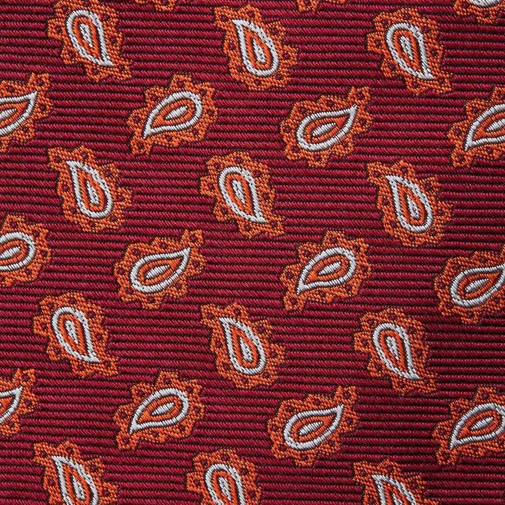 Red Abstract Paisley Silk Tie