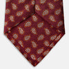Red Abstract Paisley Silk Tie