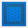 Blue Squiggle Paisley Pocket Square