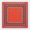 Red Squiggle Paisley Pocket Square