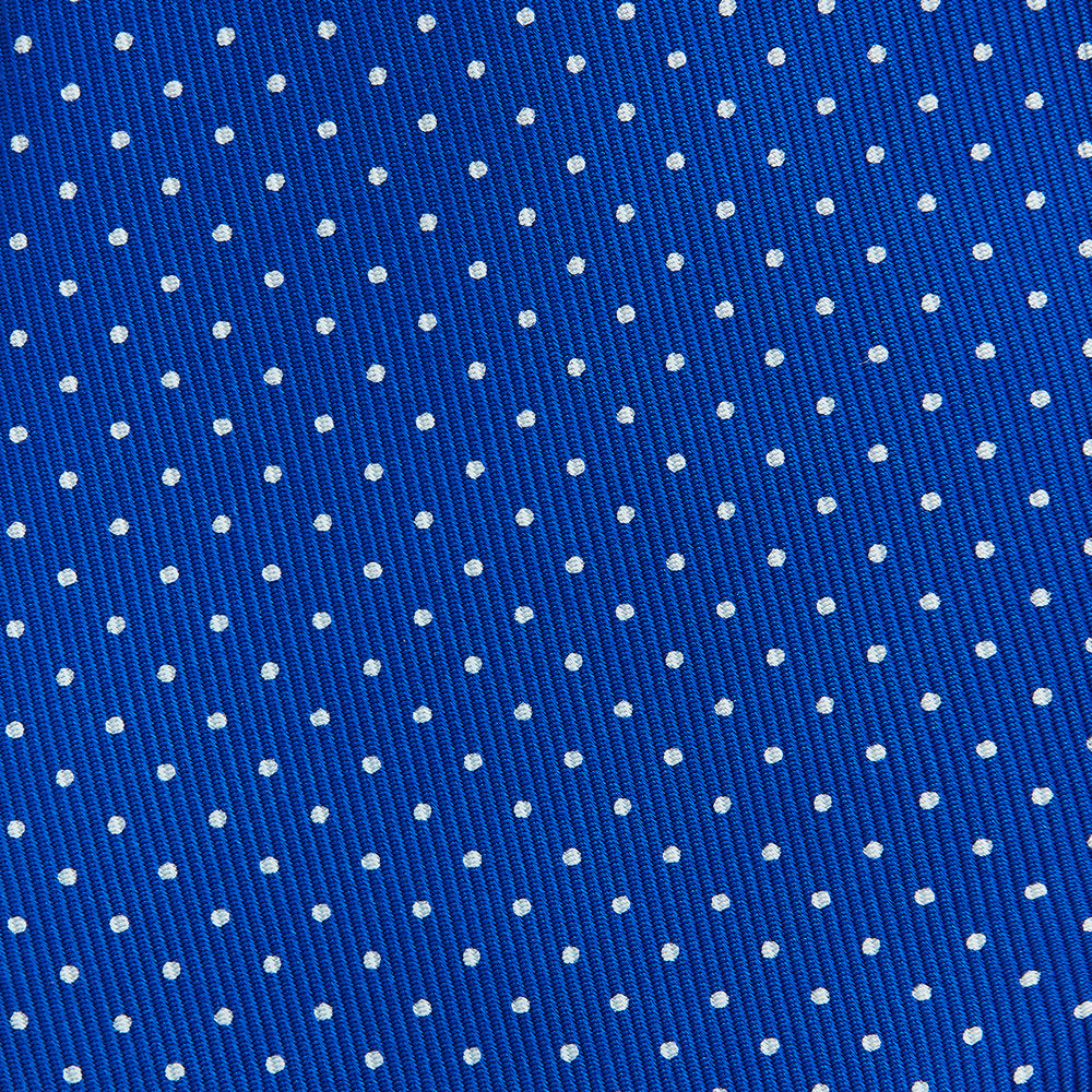 Long Blue and White Small Spot Printed Silk Tie