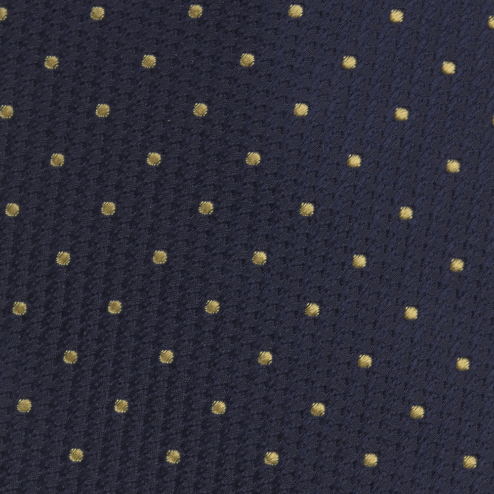 Navy and Gold Spot Lace Silk Tie