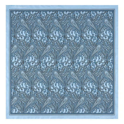 Blue House Paisley Silk Pocket Square Image 1